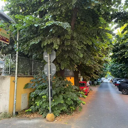 فندق Annunziata ماسا