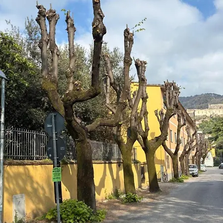 Hotel Annunziata Massa (Tuscany)